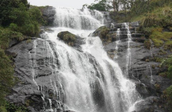 Thrissur–Athirapally–Munnar Tour Package