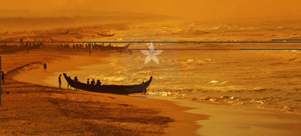 Thrissur–Athirapally–Munnar Tour Package